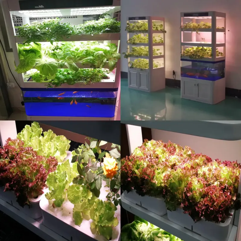Système de symbiose pour aquar - Nursery avis et prix