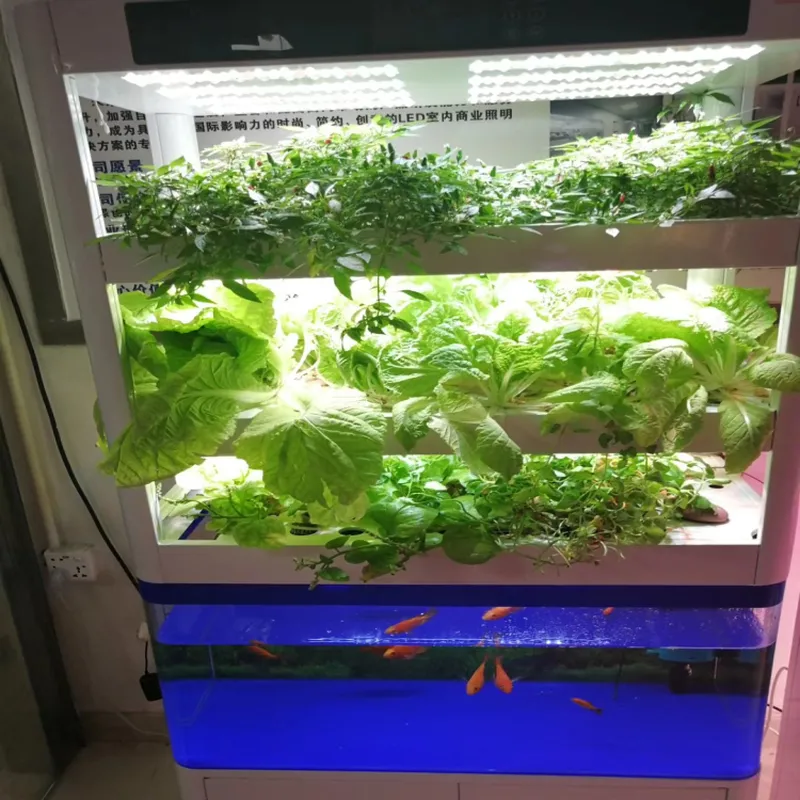 Système de symbiose pour aquar - Nursery avis et prix