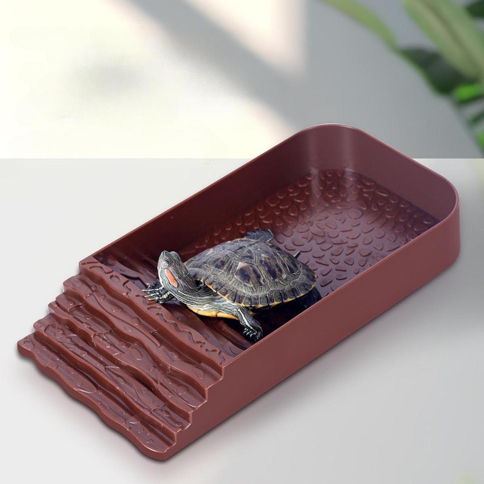 Grand bol d'eau pour tortues,  - Feeding avis et prix